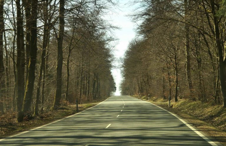 Viagem de domingo à tarde II