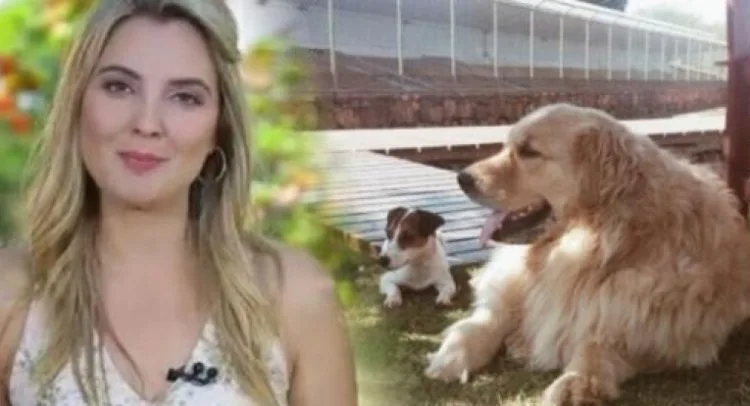 A cachorra do Alvorada