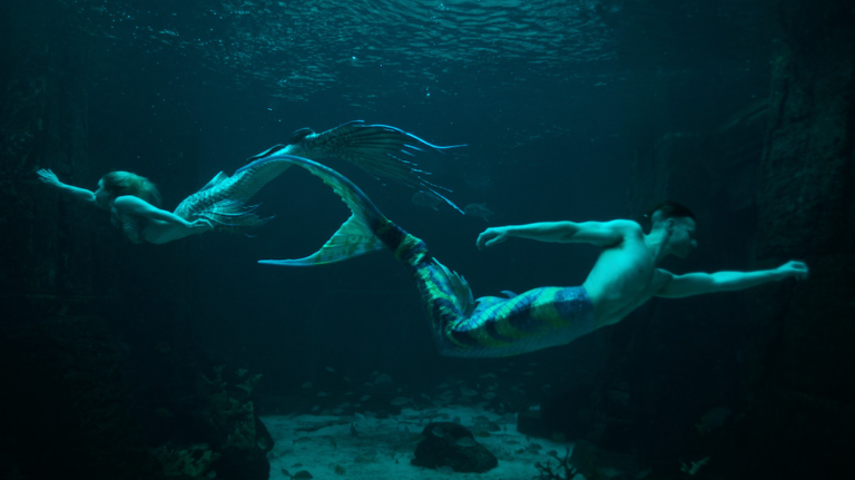 Sereias e Tritões: A Fascinante Vida das Sereias Profissionais Na Série da Netflix