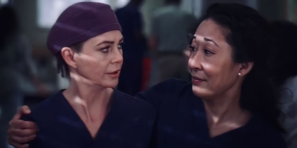 Grey's Anatomy: Os 10 melhores episódios de acordo com o IMDb