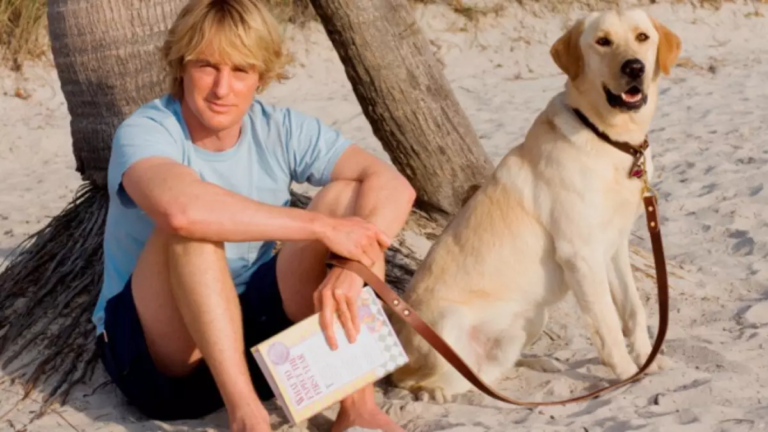 Marley & Eu: Final explicado | O casal permite eutanásia para Marley?