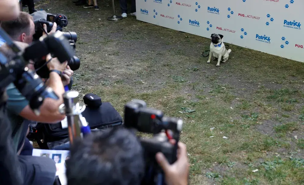 Patrick: Conheça o cão-ator e como ele se apresentou para o público em Londres. (Foto: REUTERS - Peter Nicholls/Reprodução