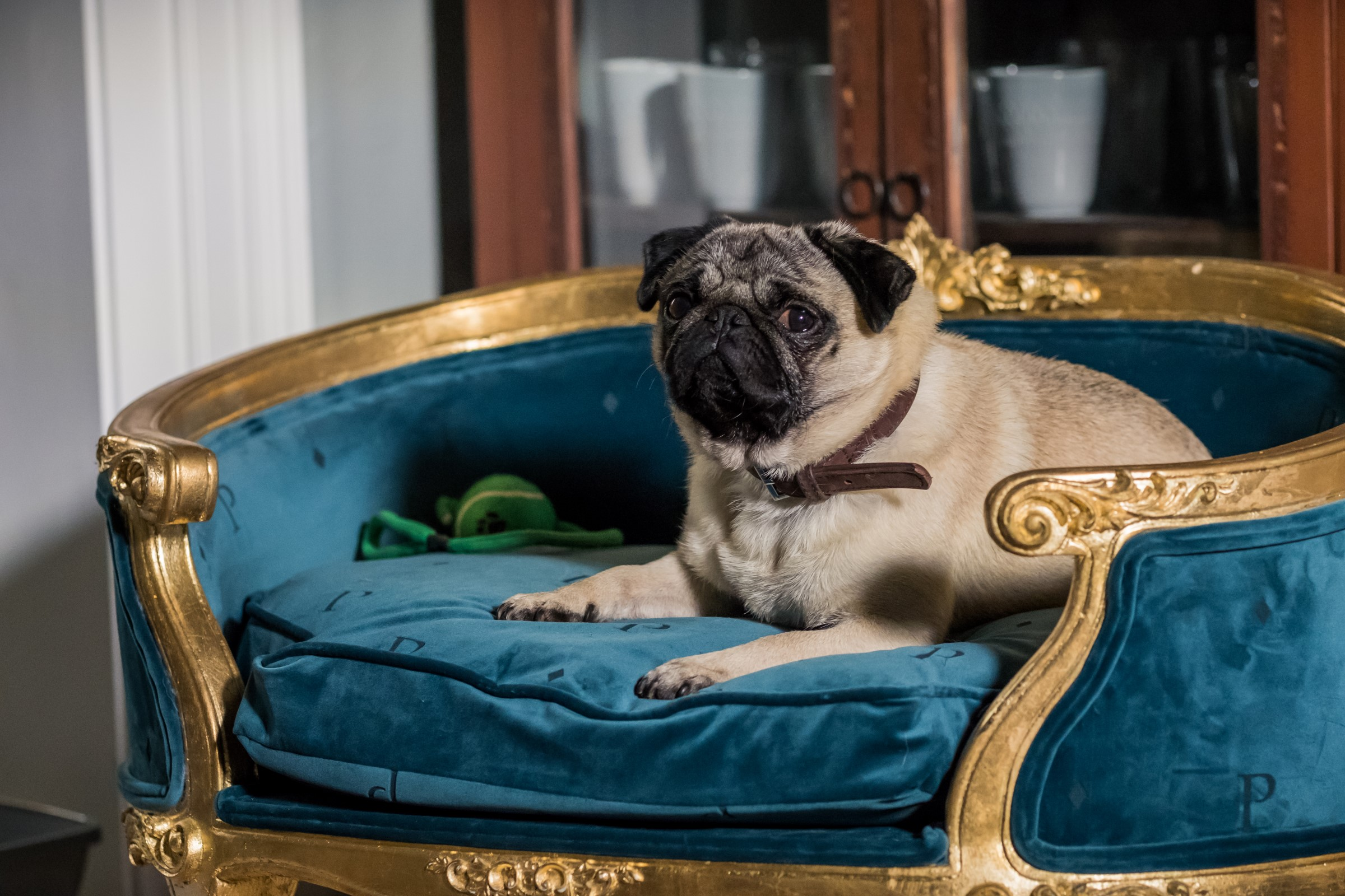 Patrick: Aprendendo a Amar 2 | O Filme Tem Continuação?