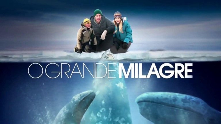 O Grande Milagre: Final Emocionante Explicado
