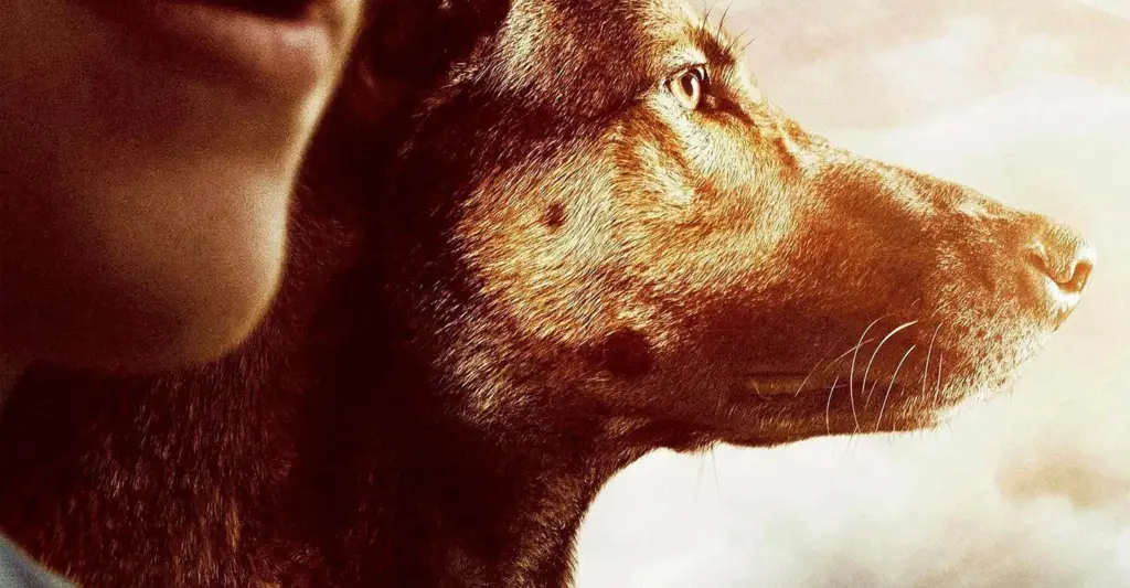 Max: O Cão Herói: Uma Aventura Emocionante na Sessão da Tarde