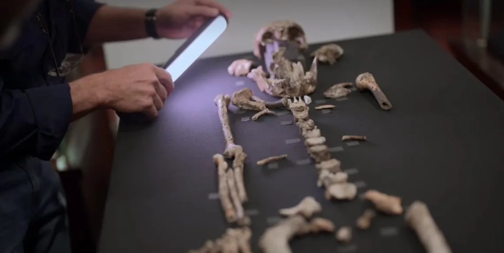 O Homo Naledi realmente existiu?