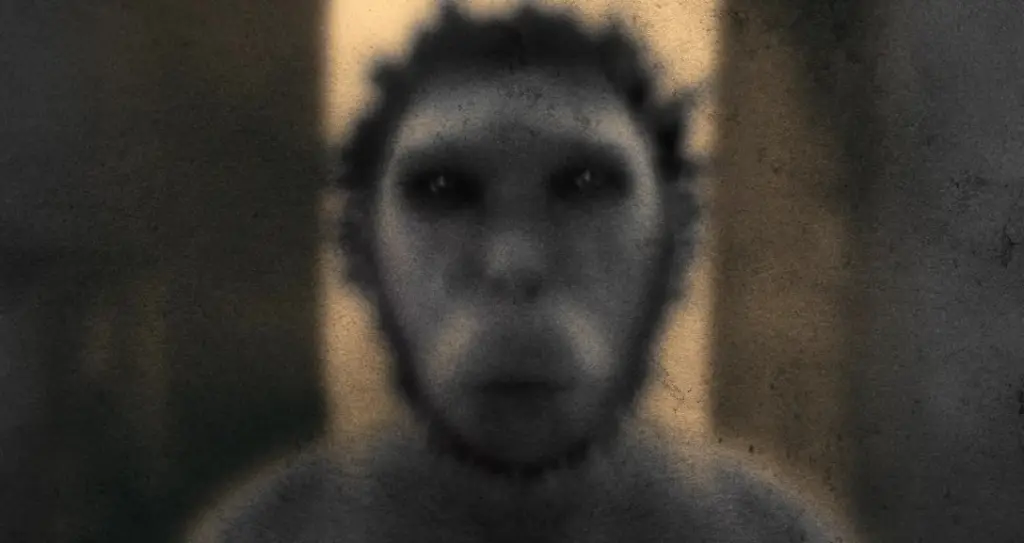 O Homo Naledi realmente existiu? 1