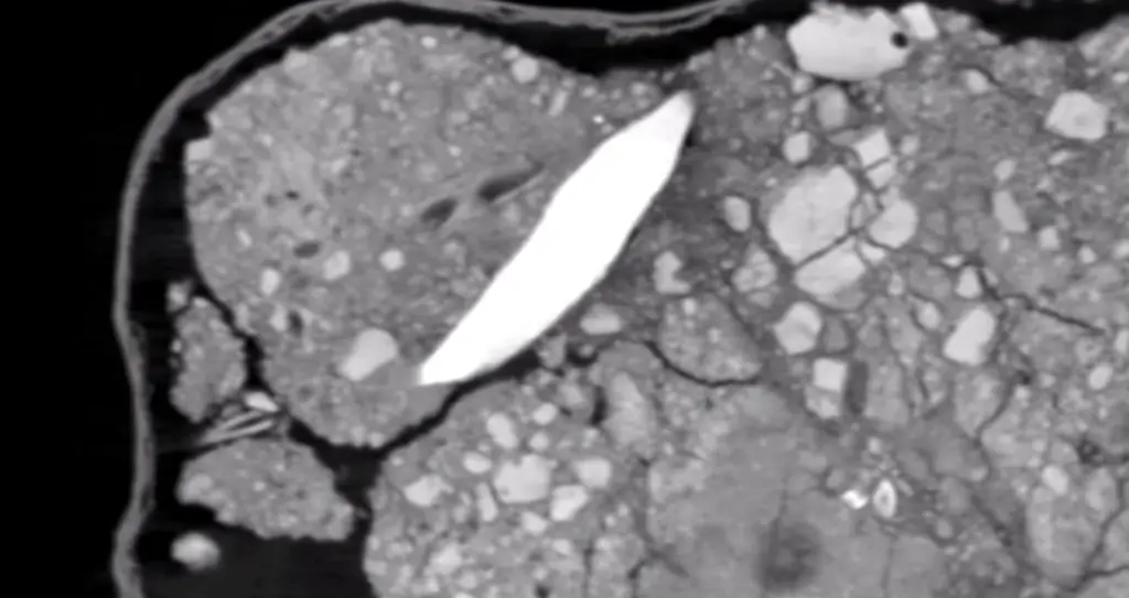 O Homo Naledi realmente existiu? 2