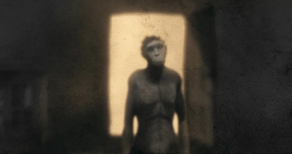 O Homo Naledi realmente existiu? 2