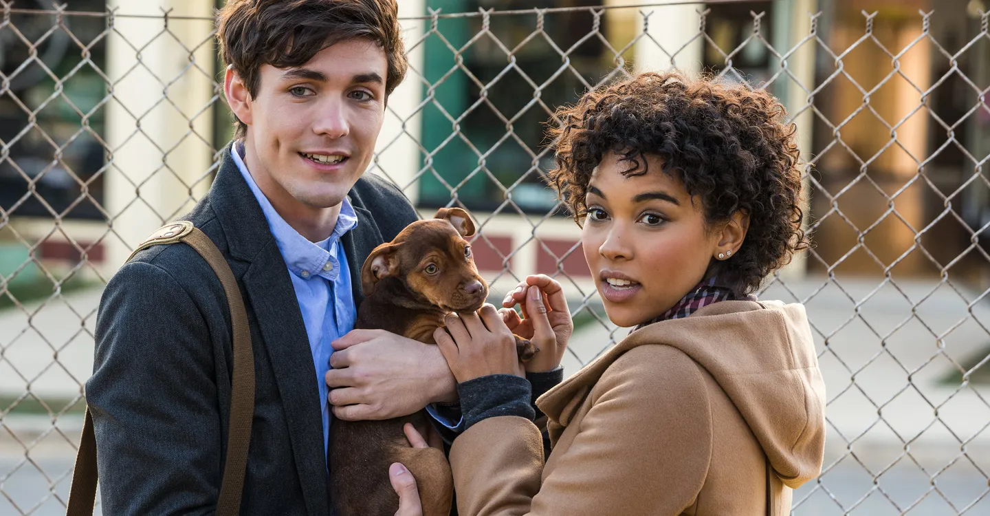 A Caminho de Casa: Uma Jornada de Amor e Lealdade na Sessão da Tarde (31/07)