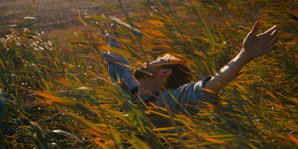 Os 10 Melhores Filmes Independentes de Todos os Tempos, de Acordo com o Reddit 1