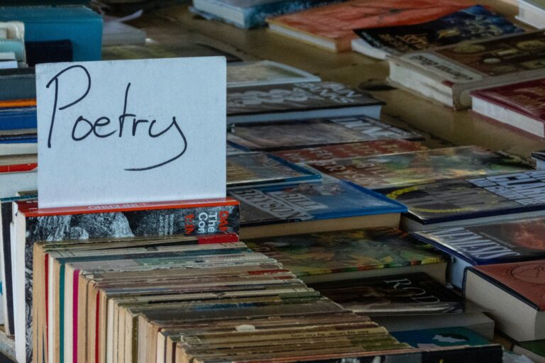 Poesia e Técnicas Literárias: Desvendando o Mundo Mágico da Literatura