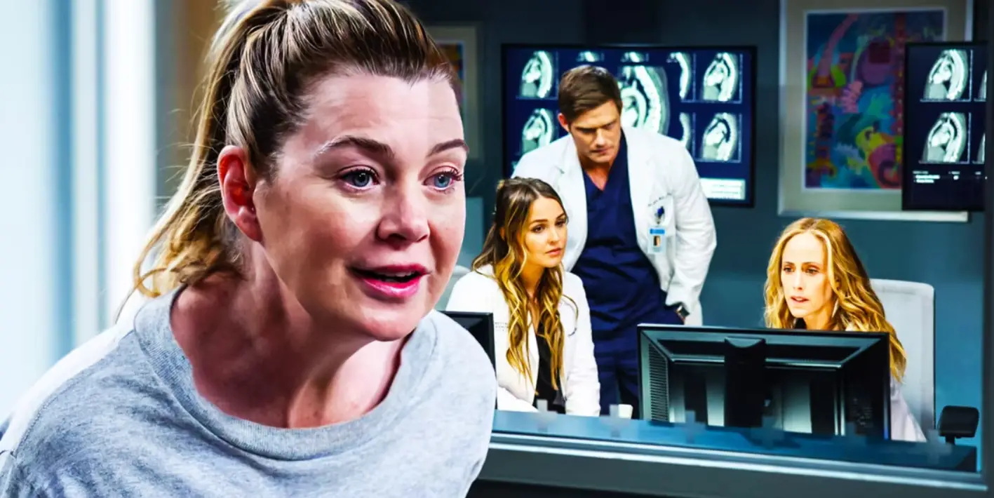 Grey's Anatomy 19° Temporada