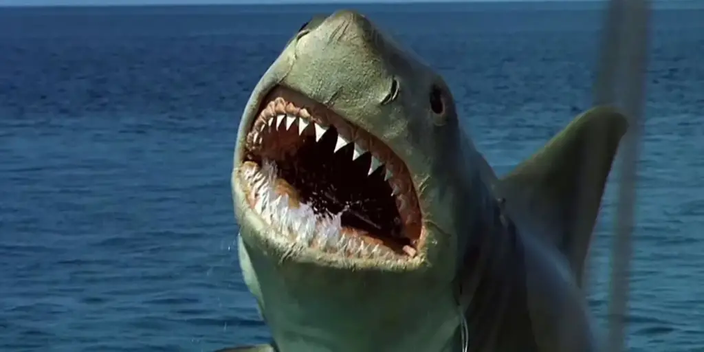 Quantos filmes da Franquia Tubarão existem? ( Imagem: Google)