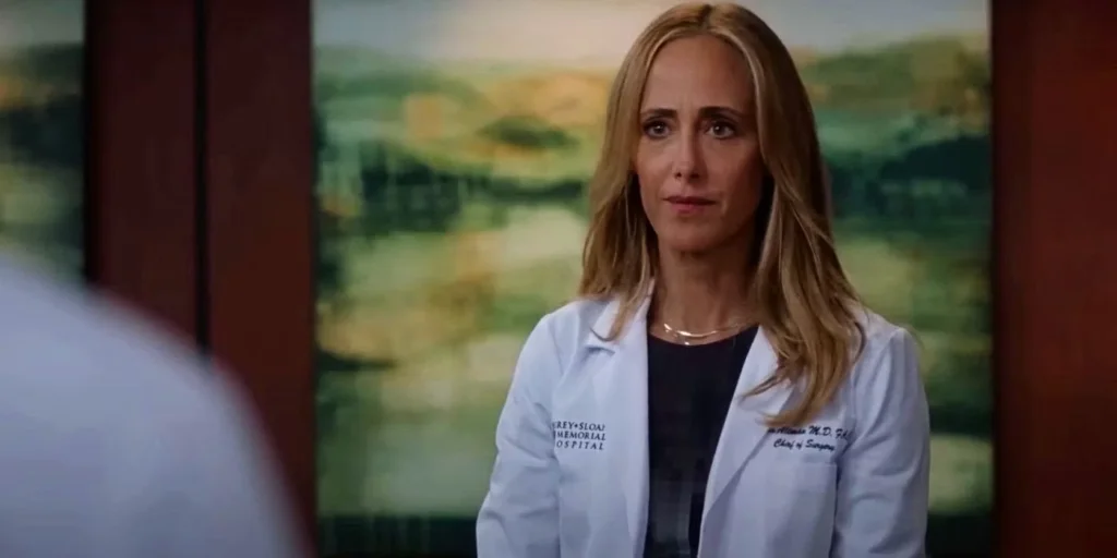 Grey's Anatomy 19° Temporada: Final Explicado| temporada já disponível no Prime Video (Imagem: ABC)