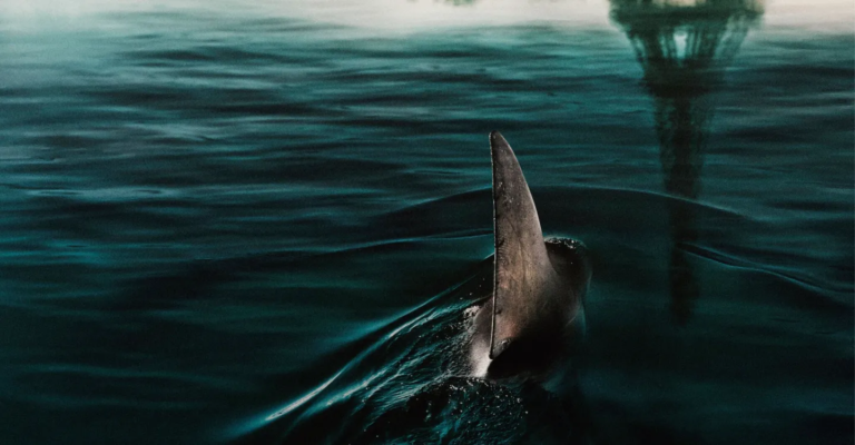 Sob as Águas do Sena: A Melhor Produção de Tubarões Desde ‘Tubarão’, de Spielberg