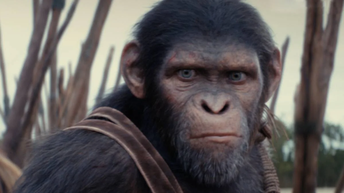 17 Lançamentos do Disney+ em Agosto: Novo ‘Planeta dos Macacos’ e Séries Imperdíveis