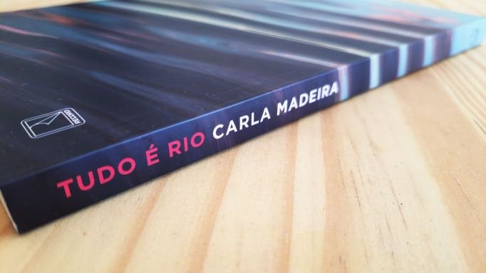 Análise Crítica e Completa de “Tudo é Rio” de Carla Madeira