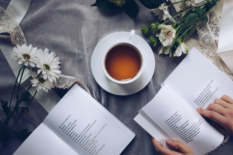 Dos Clássicos aos Contemporâneos: A Evolução dos Romances Literários