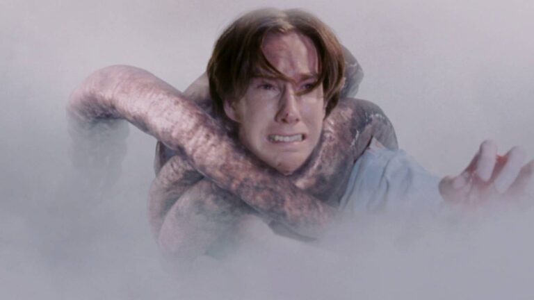The Mist