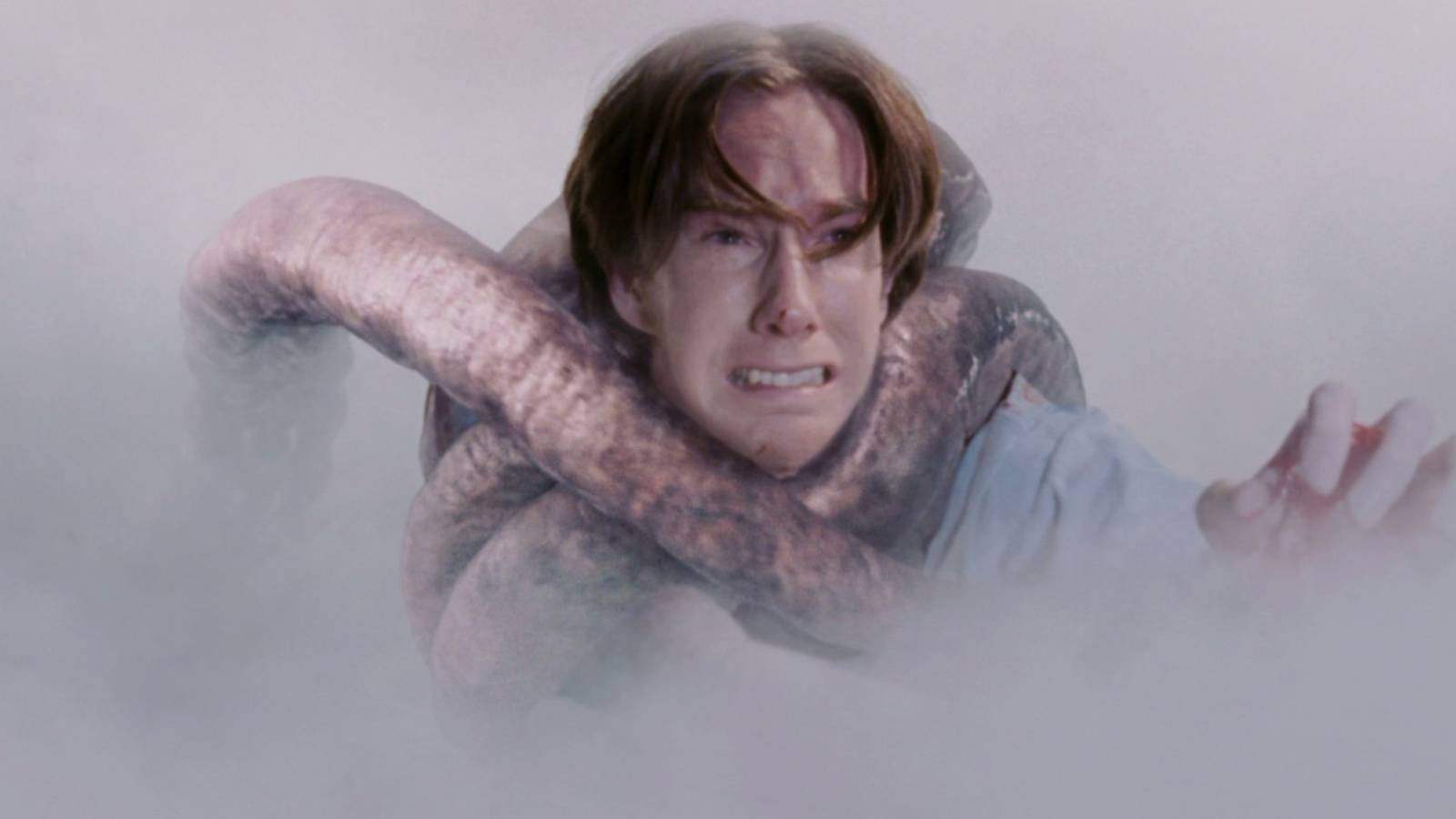 The Mist: 7 razões para rever o final cruel
