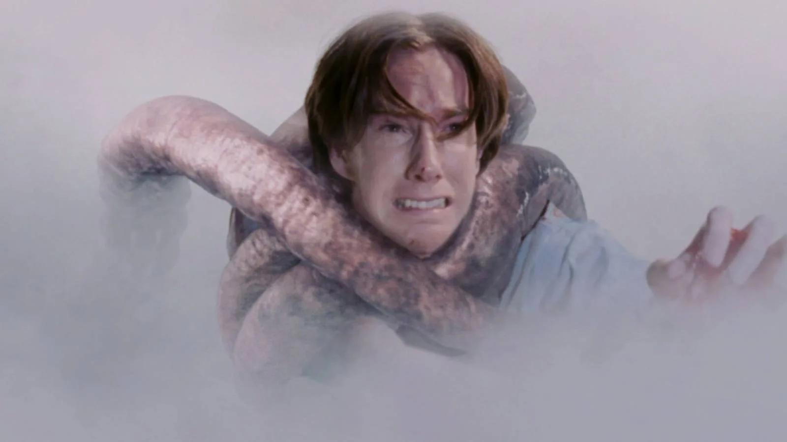 The Mist: 7 razões para rever o final cruel