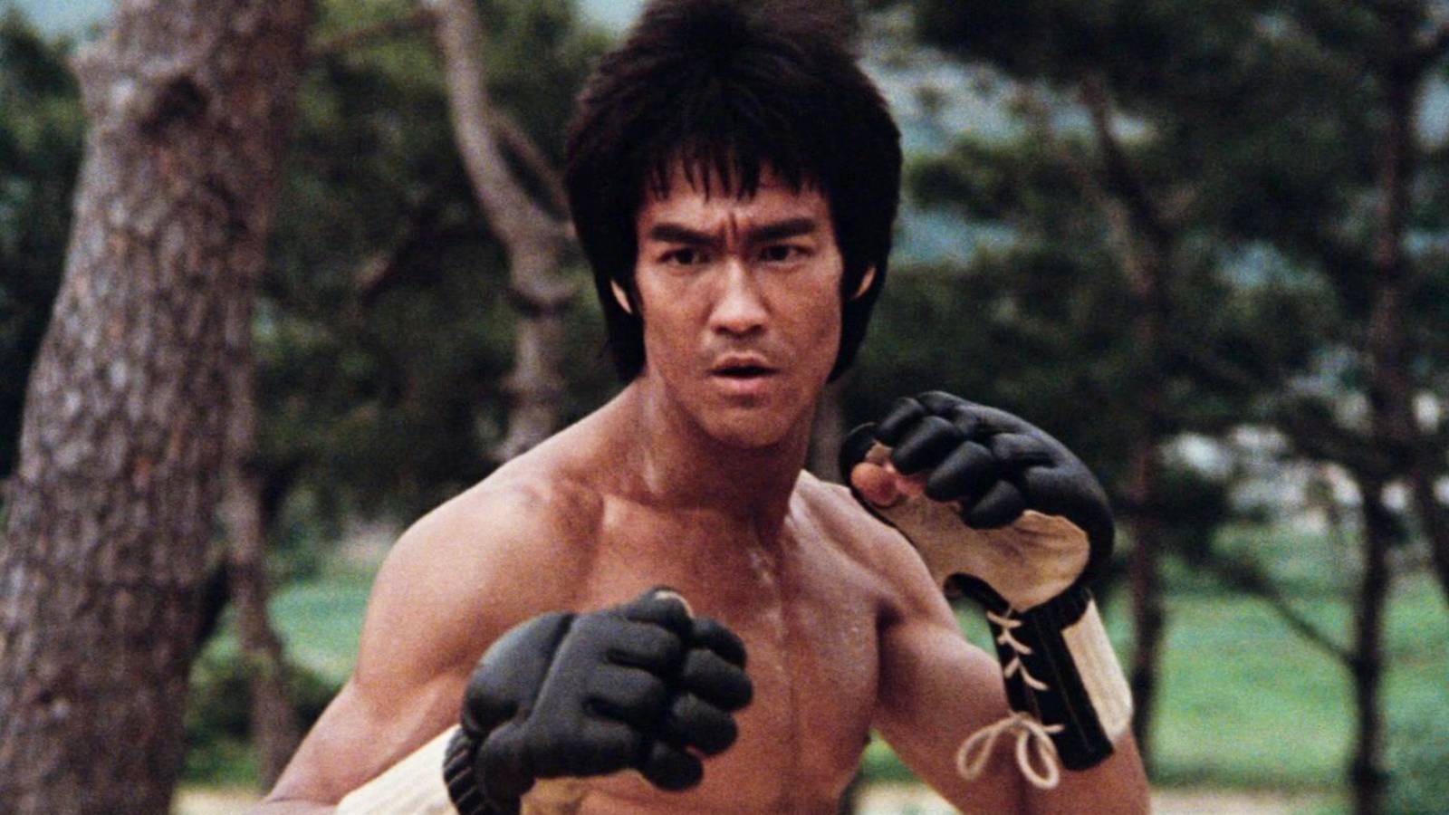 10 filmes de Hong Kong que definiram as artes marciais
