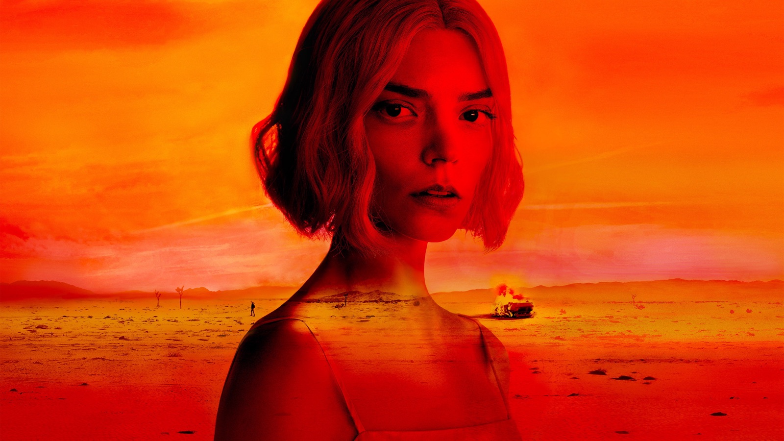 Lucky: o último golpe de Anya Taylor-Joy e o final explicado